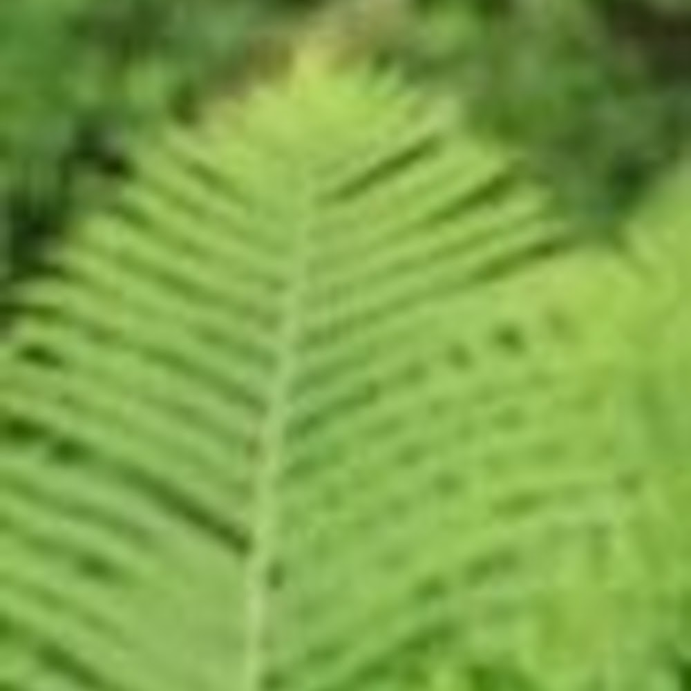 Meet your Posher, Glenfern